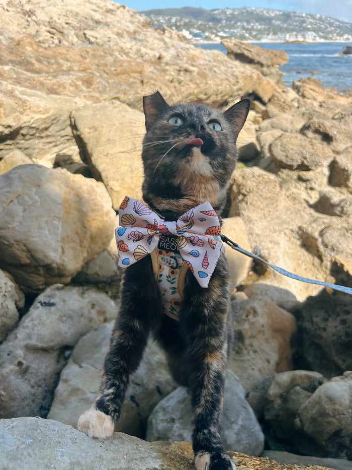 INFLUENCER_CONTENT | @SCREAMY_BEANY | SAILOR BOW