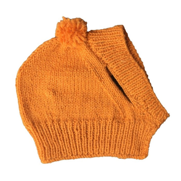 Pet Cap and pom-pom