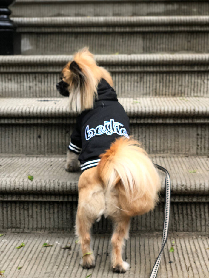The Signature ‘Bestie’ Luxe Dog Hoodie