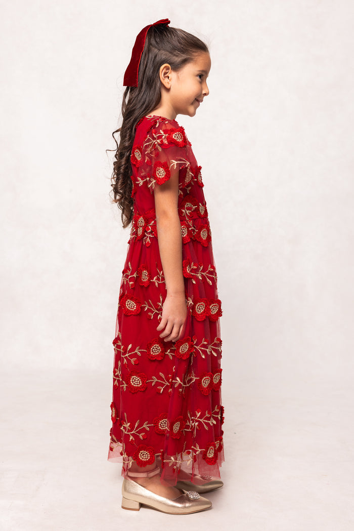 Young girl wearing a red embroidered dress on a white background