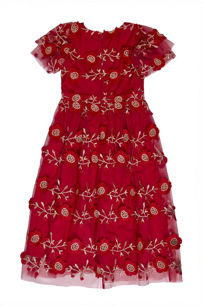 The Mini Athena Dress in Red by Ivy City Co is a knee-length, short-sleeve dress featuring a sheer overlay adorned with red and white floral embroidery and leaf patterns—making it the perfect charming holiday dress for girls or an adorable mommy and me ensemble.