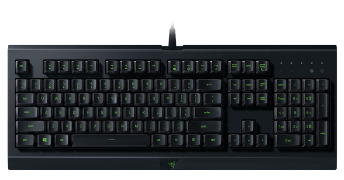 Razer Cynosa Lite RGB USB Wired Gaming Keyboard - Black (RZ03-02740700)