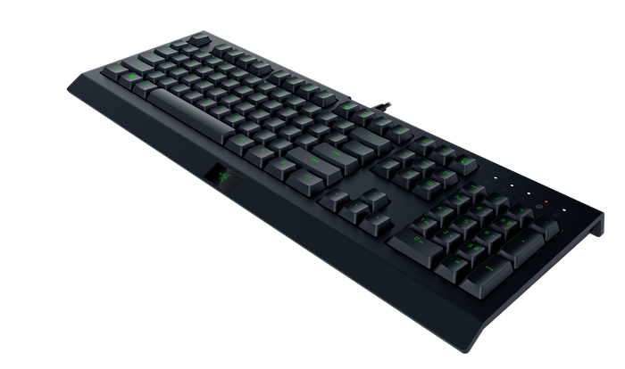Razer Cynosa Lite RGB USB Wired Gaming Keyboard - Black (RZ03-02740700)