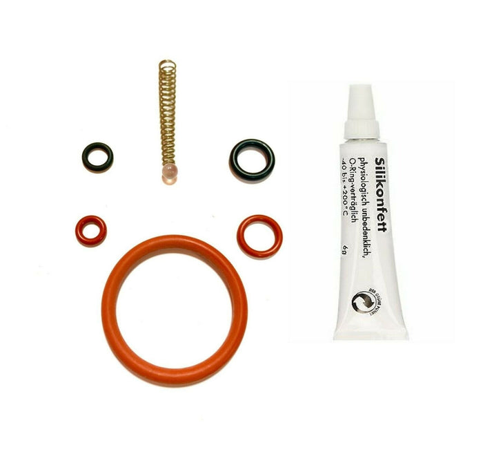Saeco Odea, Talea, Primea, Xsmall Brew Group Repair Kit & 6g Silicon Grease - Coffeesection