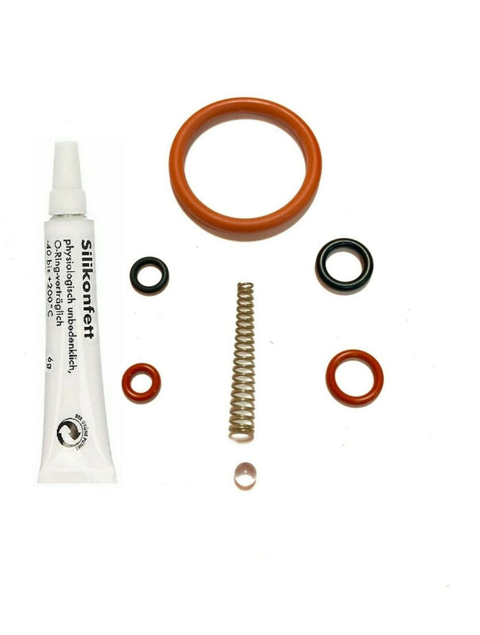 Saeco Odea, Talea, Primea, Xsmall Brew Group Repair Kit & 6g Silicon Grease - Coffeesection