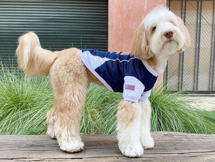 Team USA Dog Jersey