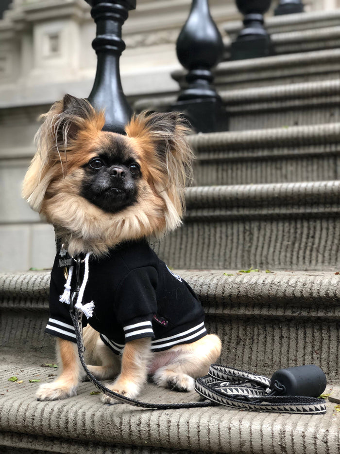 The Signature ‘Bestie’ Luxe Dog Hoodie