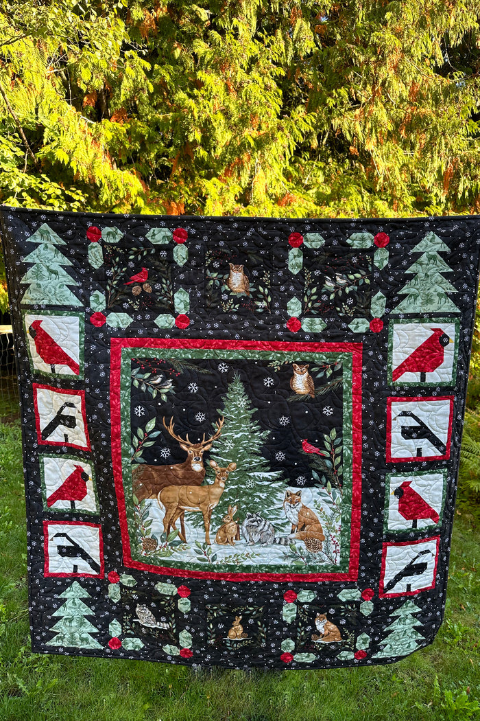 Wonderland Quilt Pattern